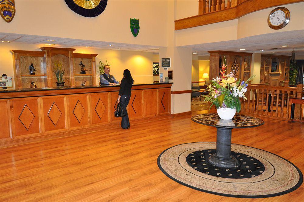 Comfort Inn & Suites New Orleans Airport North 肯纳 外观 照片